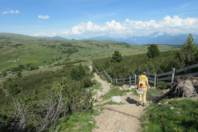 Rittner-Horn-Haus - Sarner Scharte - Villanderer Berg - Pfroderalm - Stfflhtte