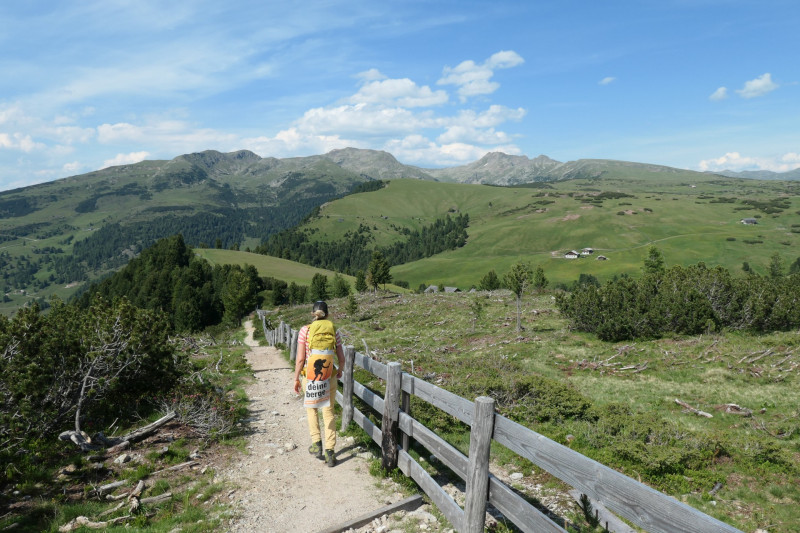 Rittner-Horn-Haus - Sarner Scharte - Villanderer Berg - Pfroderalm - Stfflhtte