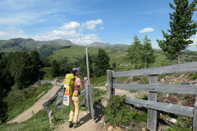 Rittner-Horn-Haus - Sarner Scharte - Villanderer Berg - Pfroderalm - Stfflhtte