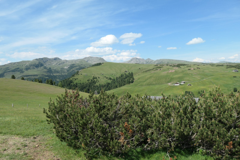 Rittner-Horn-Haus - Sarner Scharte - Villanderer Berg - Pfroderalm - Stfflhtte