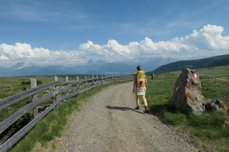 Rittner-Horn-Haus - Sarner Scharte - Villanderer Berg - Pfroderalm - Stfflhtte