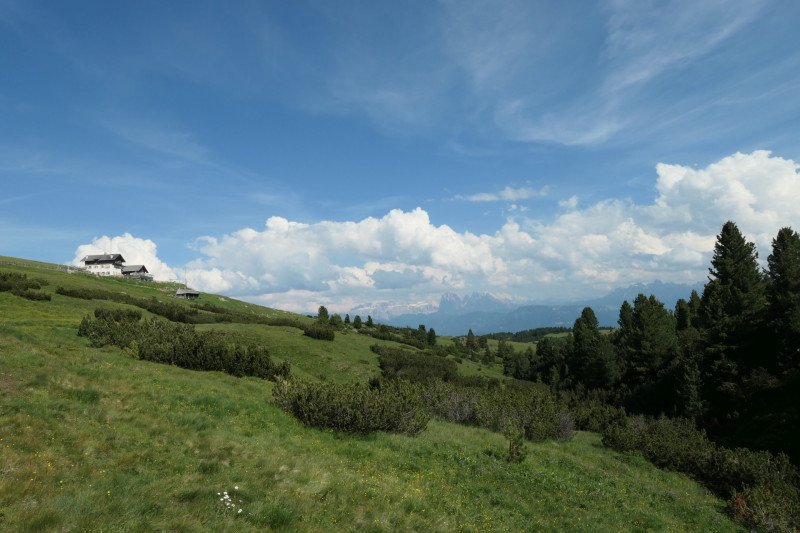 Rittner-Horn-Haus - Sarner Scharte - Villanderer Berg - Pfroderalm - Stfflhtte