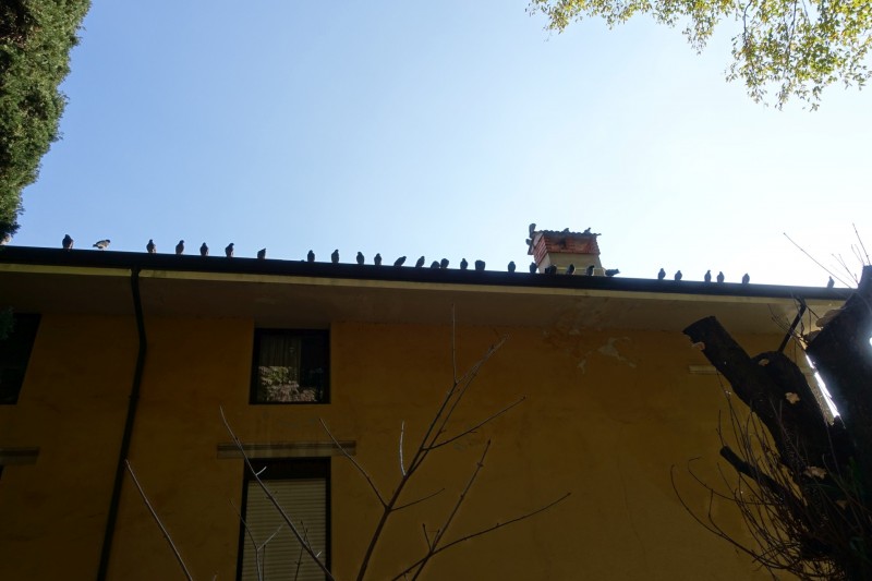 Riva - Bastione - Cima SAT - Riva