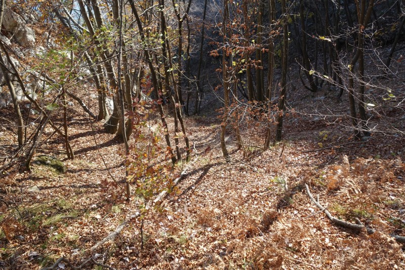 Riva - Bastione - Cima SAT - Riva