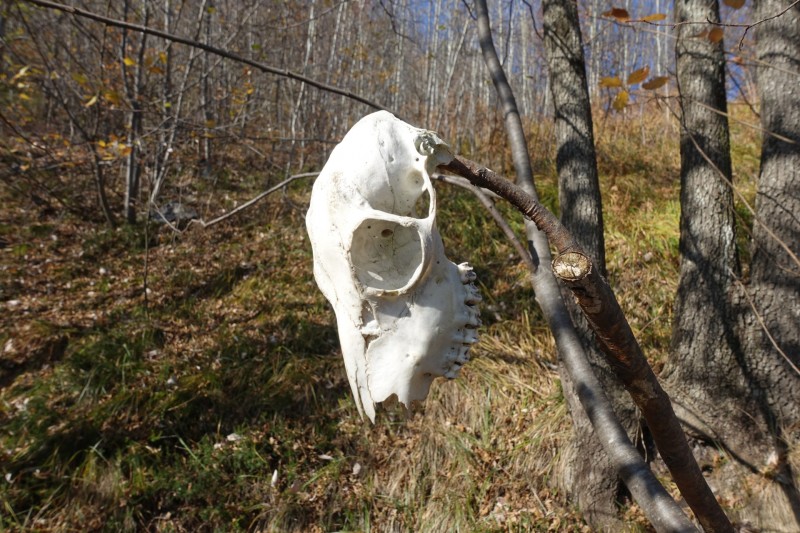 Riva - Bastione - Cima SAT - Riva