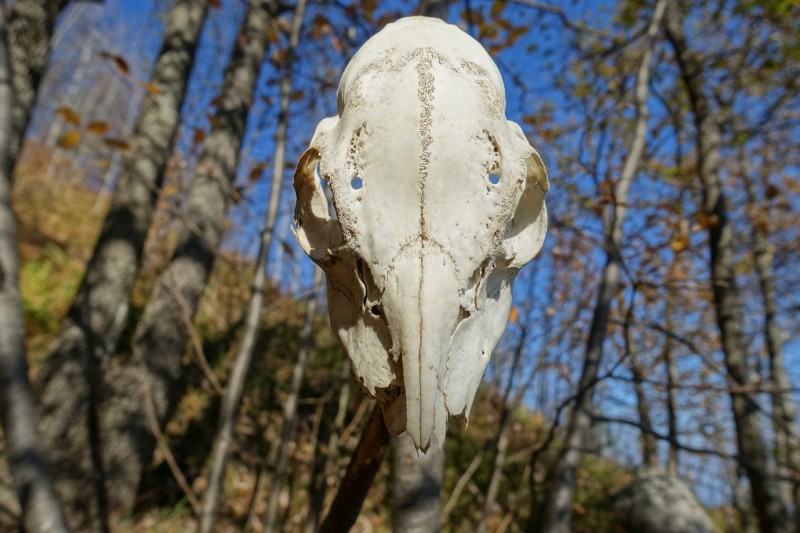 Riva - Bastione - Cima SAT - Riva