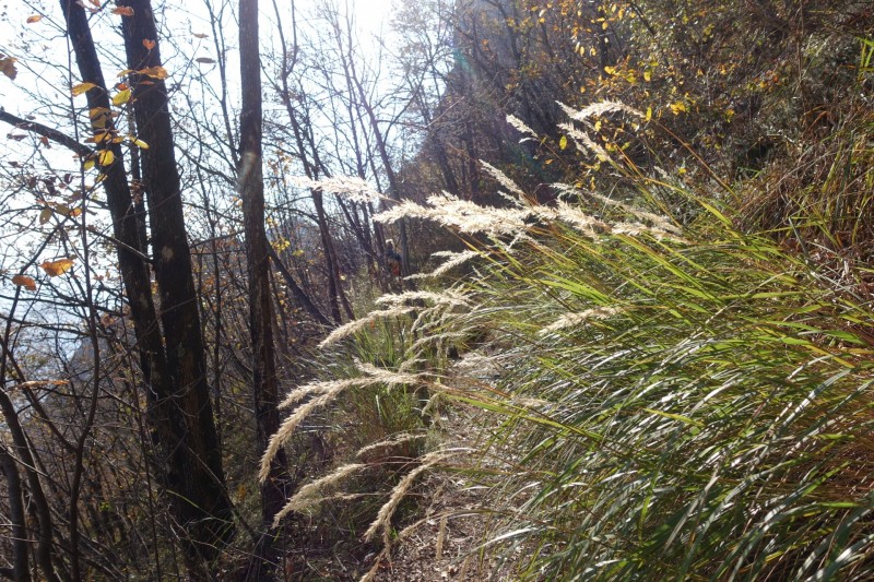 Riva - Bastione - Cima SAT - Riva