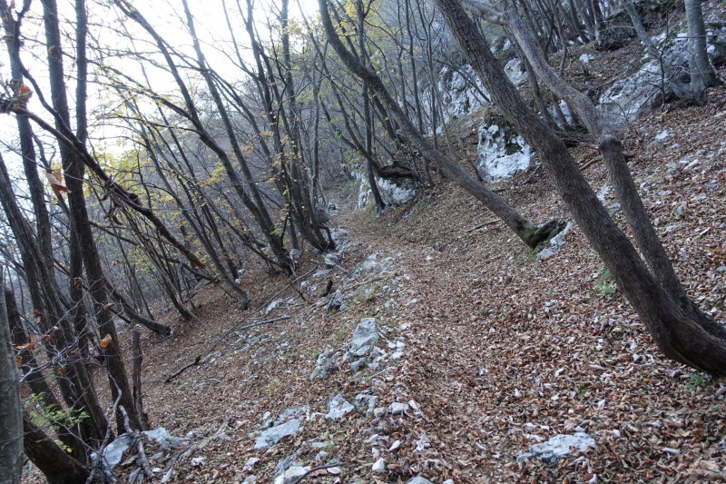 Riva - Bastione - Cima SAT - Riva