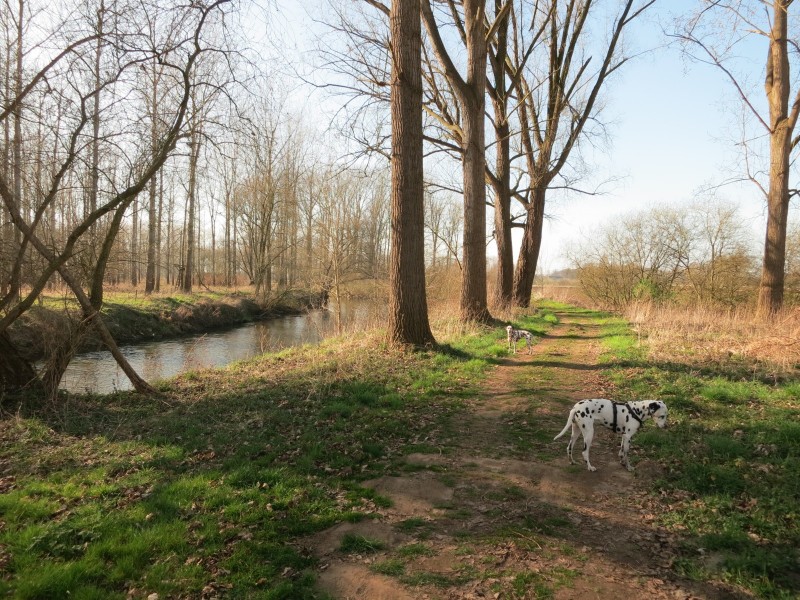 Rode Beek Premiumweg