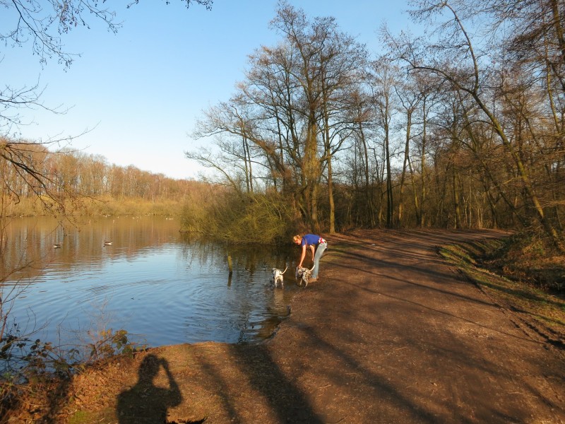 Rode Beek Premiumweg