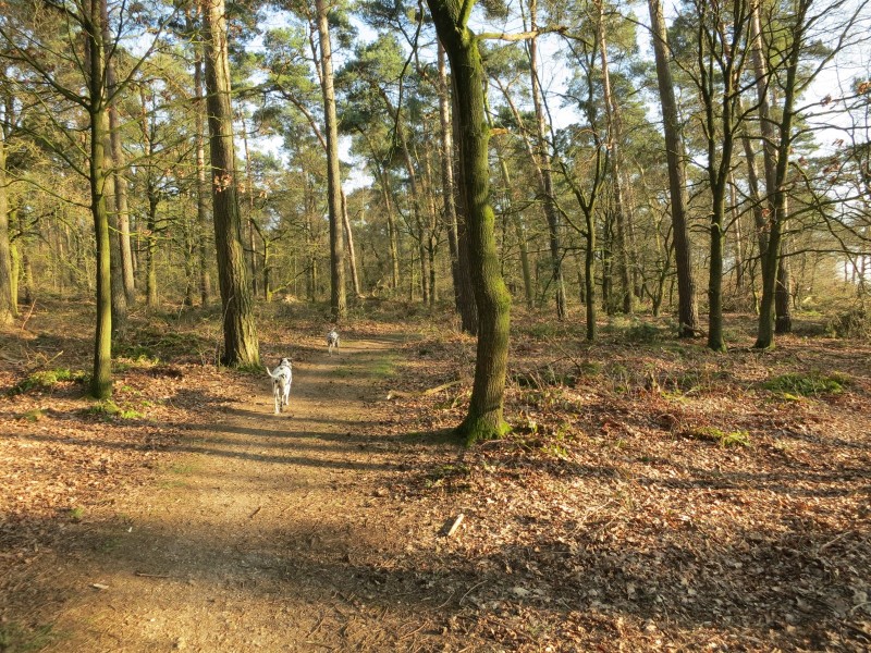 Rode Beek Premiumweg