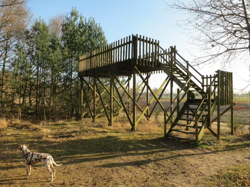 Rode Beek Premiumweg
