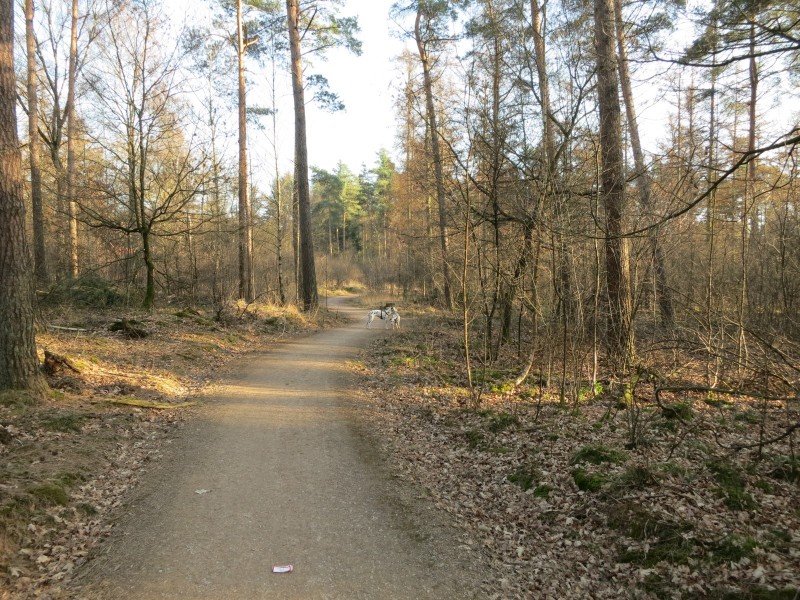 Rode Beek Premiumweg