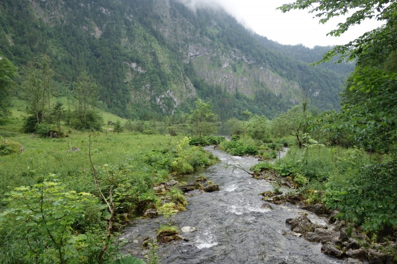 Saletalm - Wasseralm in der Röth