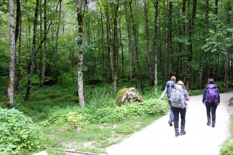 Saletalm - Wasseralm in der Röth