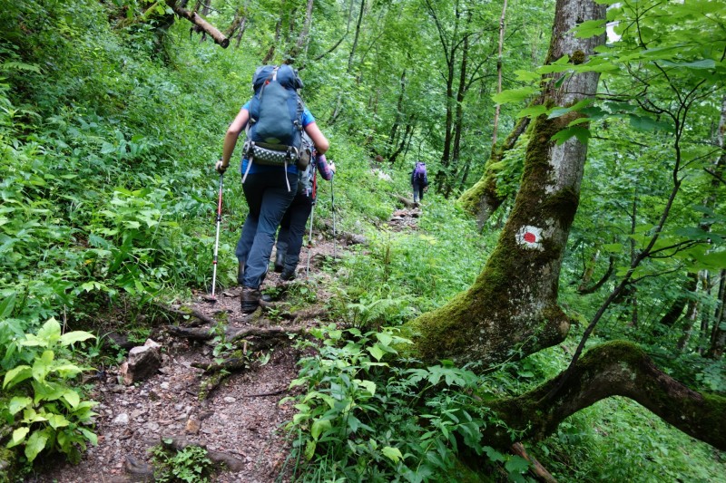 Saletalm - Wasseralm in der Röth
