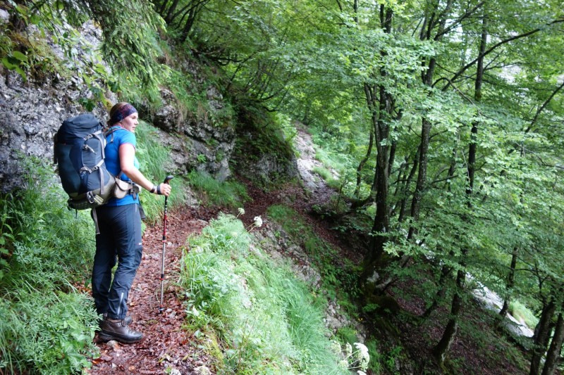 Saletalm - Wasseralm in der Röth