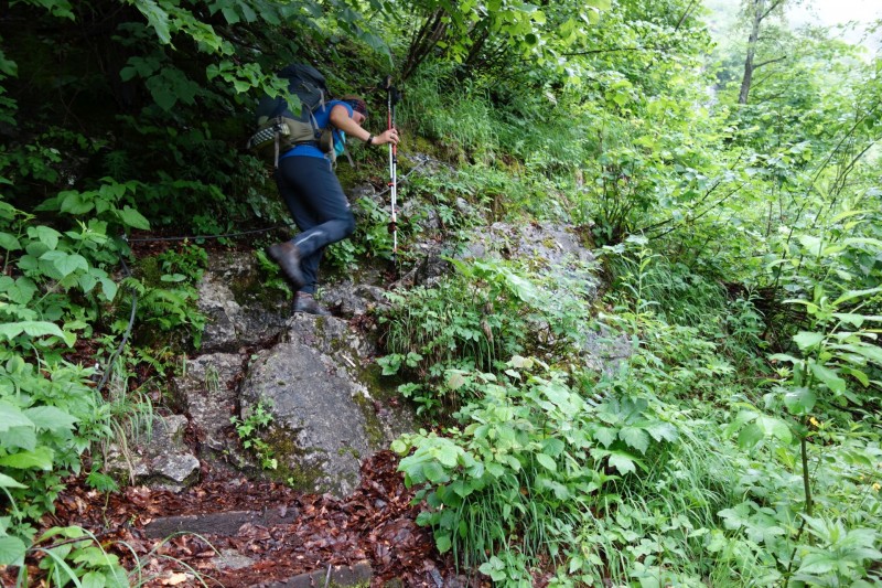 Saletalm - Wasseralm in der Röth