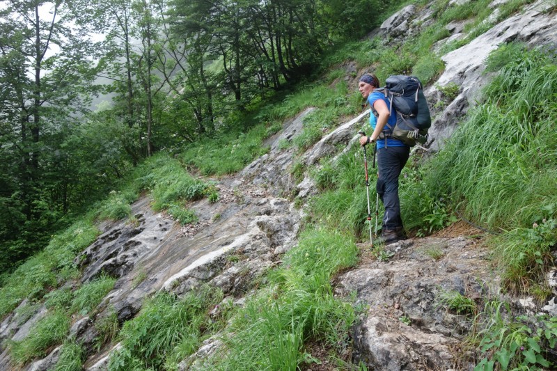Saletalm - Wasseralm in der Röth