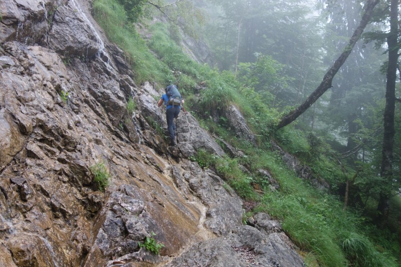Saletalm - Wasseralm in der Röth