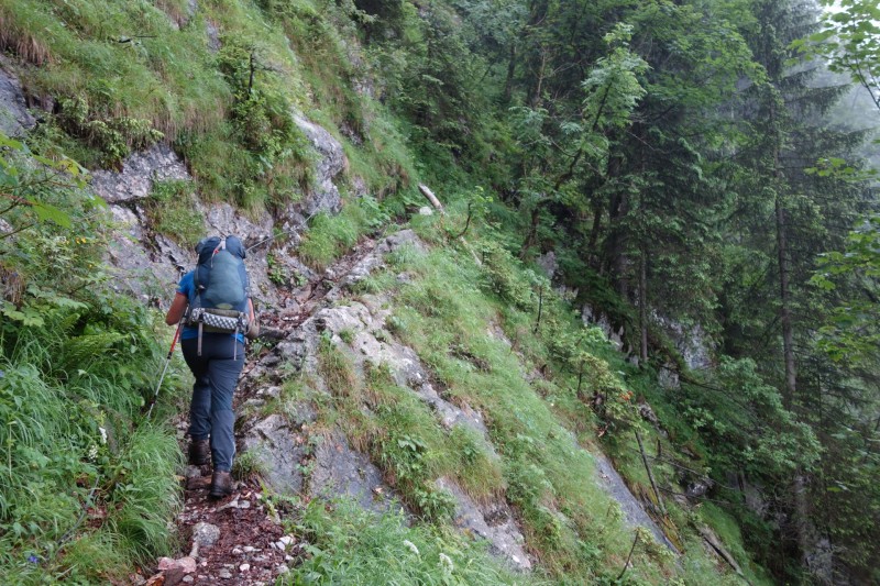 Saletalm - Wasseralm in der Röth