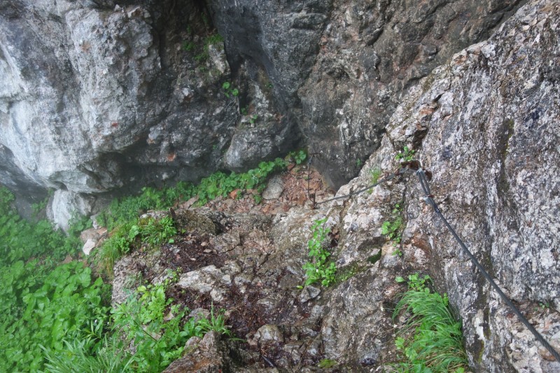Saletalm - Wasseralm in der Röth
