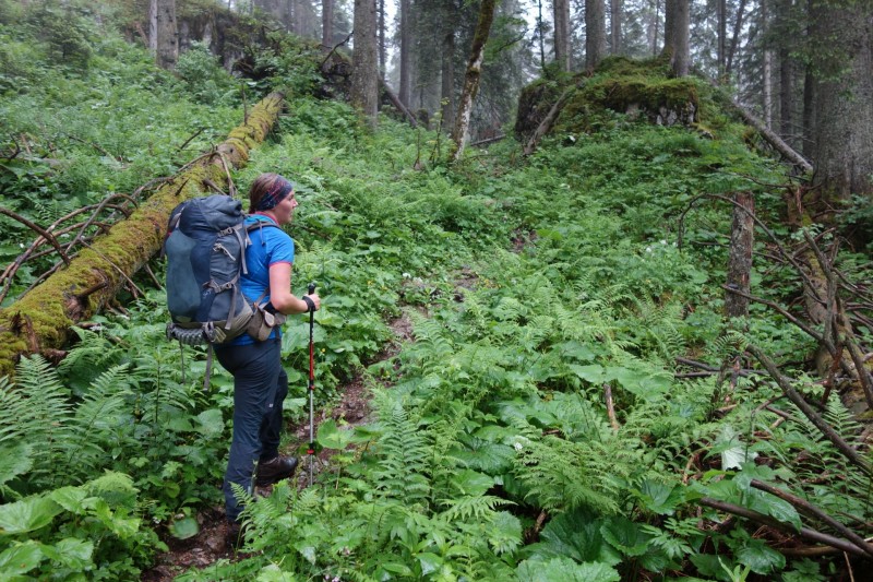 Saletalm - Wasseralm in der Röth