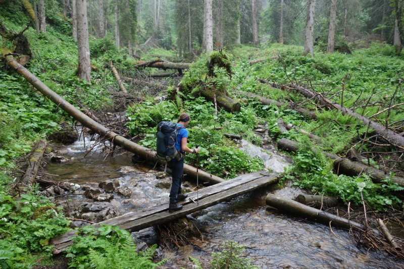 Saletalm - Wasseralm in der Röth