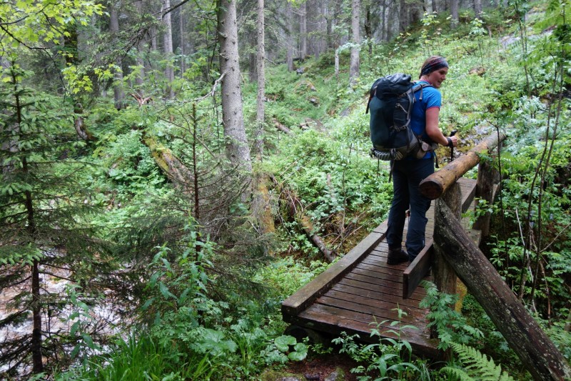 Saletalm - Wasseralm in der Röth