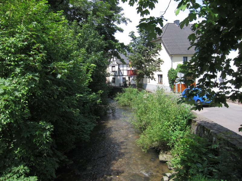 Saynsteig Traumpfad