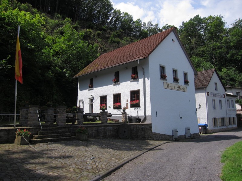 Saynsteig Traumpfad