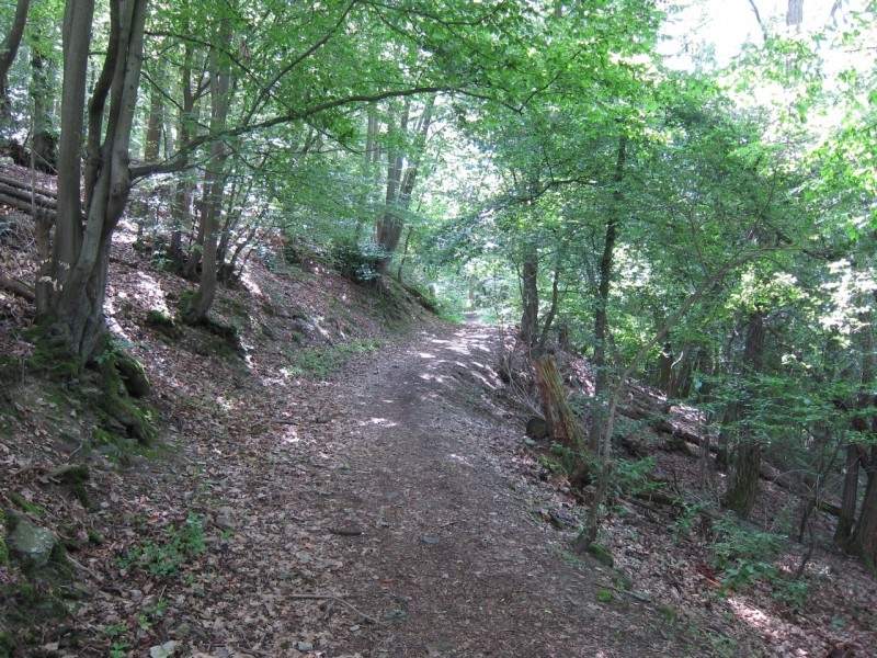 Saynsteig Traumpfad