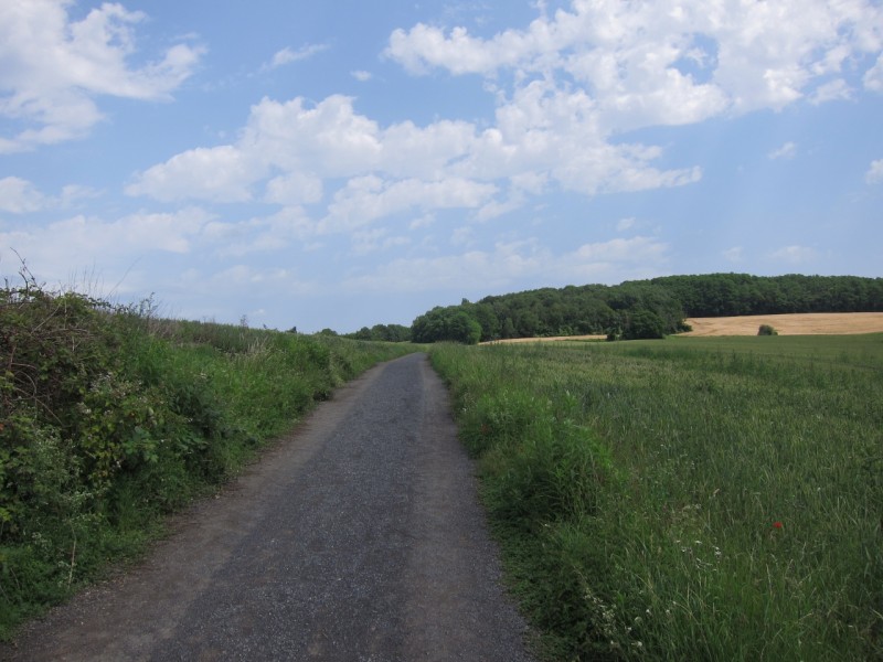 Saynsteig Traumpfad