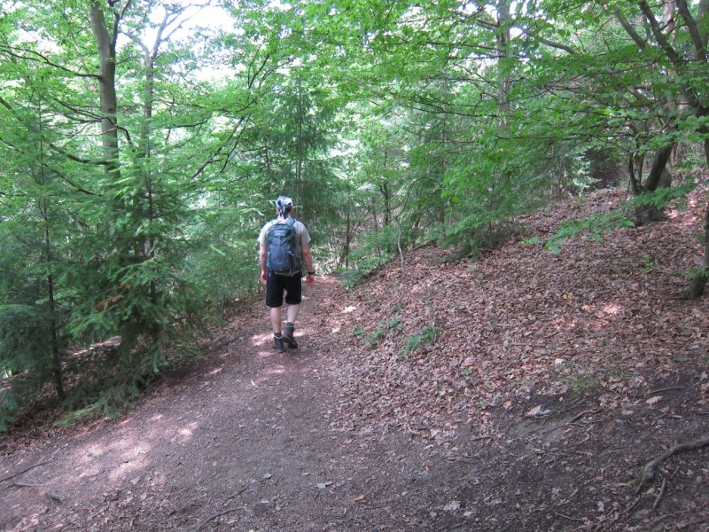 Saynsteig Traumpfad
