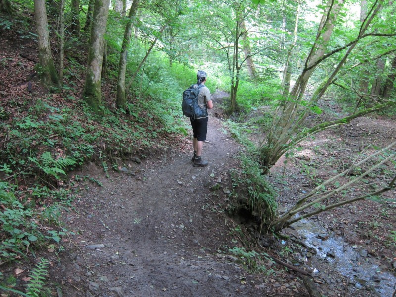 Saynsteig Traumpfad