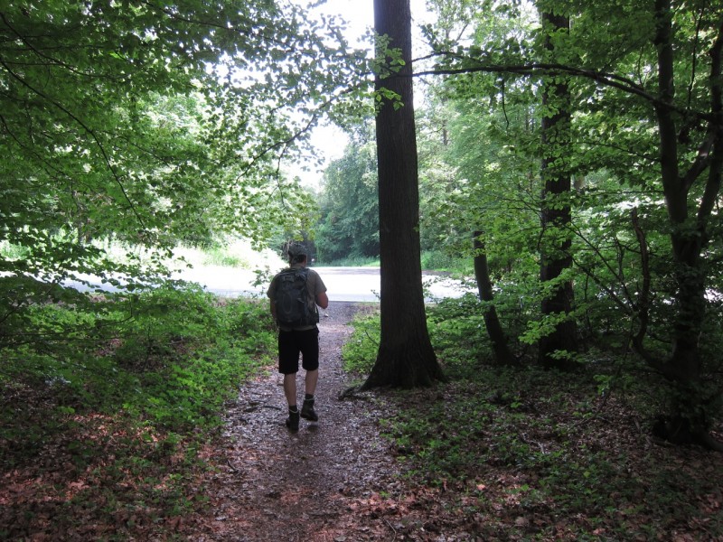 Saynsteig Traumpfad