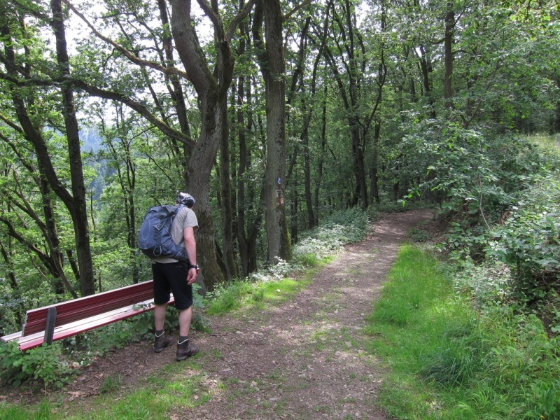 Saynsteig Traumpfad