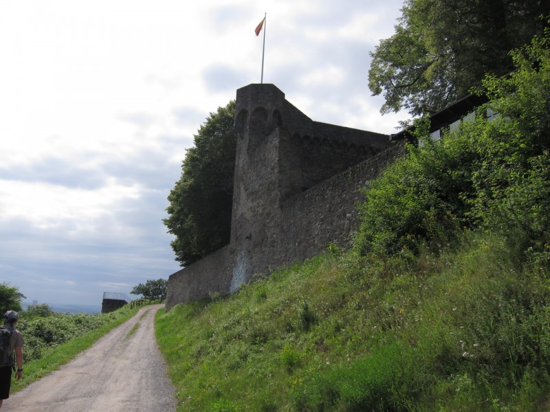 Saynsteig Traumpfad