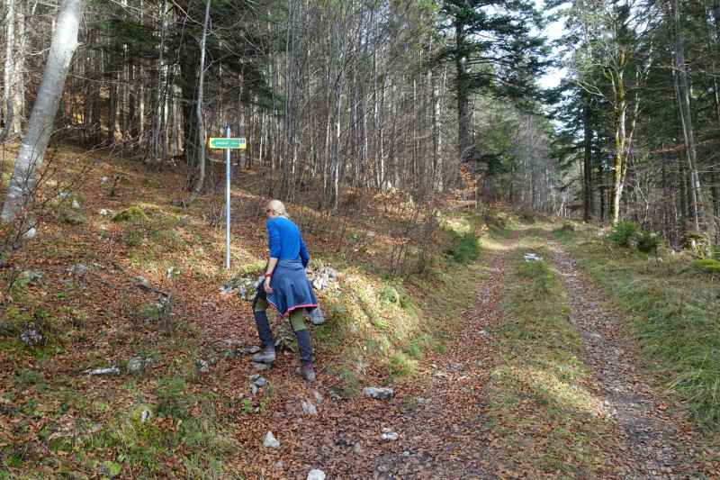 Schafkopf
