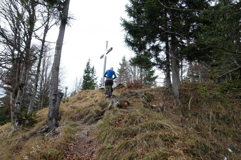 Schafkopf