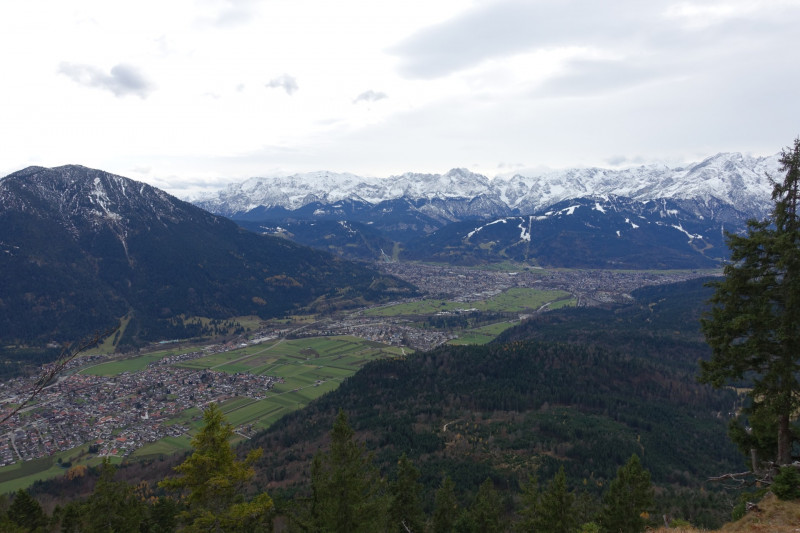 Schafkopf