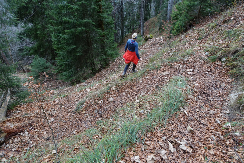 Schafkopf