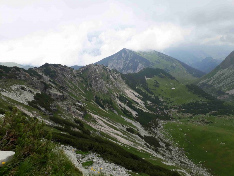 Schafreiter (Schafreuther)