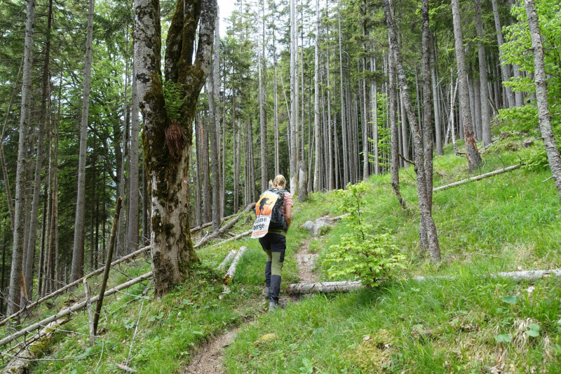 Schellalm - Schellkopf - Stiereck