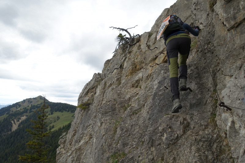 Schellalm - Schellkopf - Stiereck