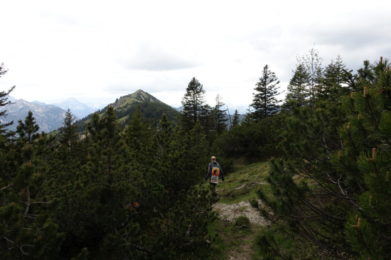 Schellalm - Schellkopf - Stiereck