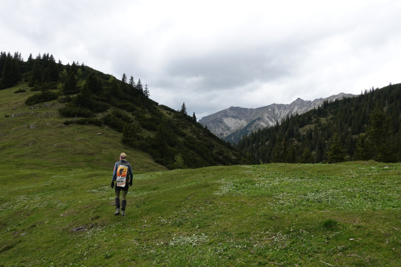 Schellalm - Schellkopf - Stiereck