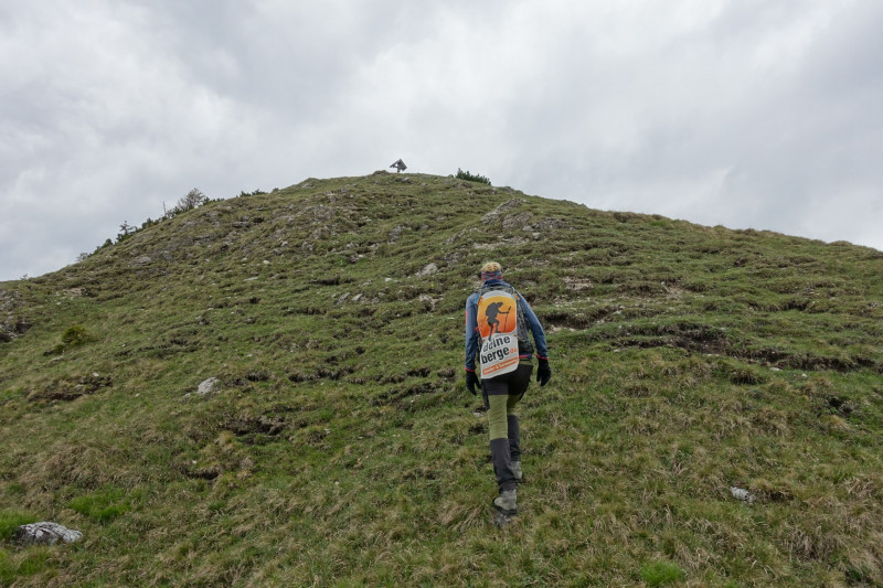 Schellalm - Schellkopf - Stiereck