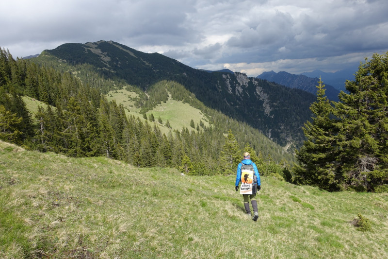 Schellalm - Schellkopf - Stiereck