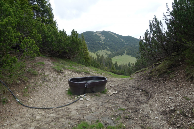 Schellalm - Schellkopf - Stiereck